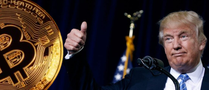 Trump e as Criptomoedas: O "possível" Falso Apoio que Fez o Bitcoin Disparar